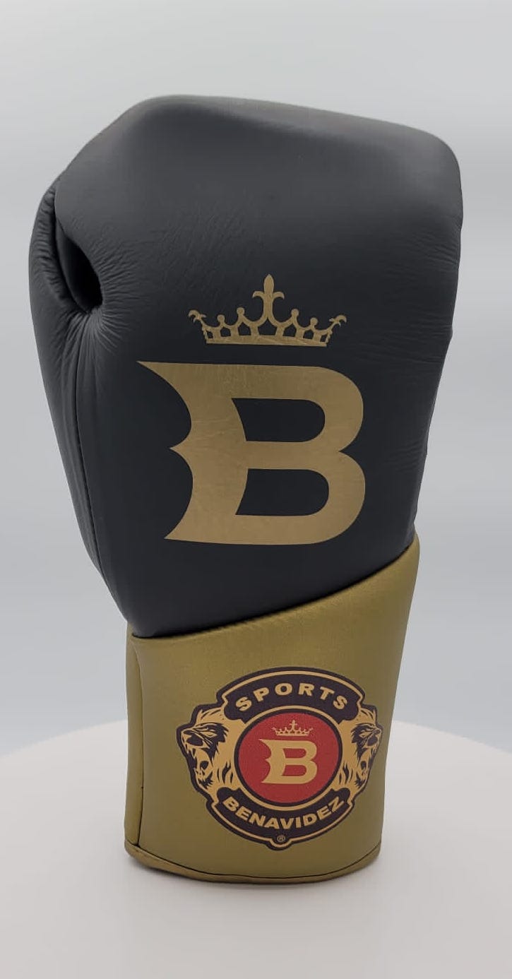 Team Benavidez Pro Fight Boxing Gloves
