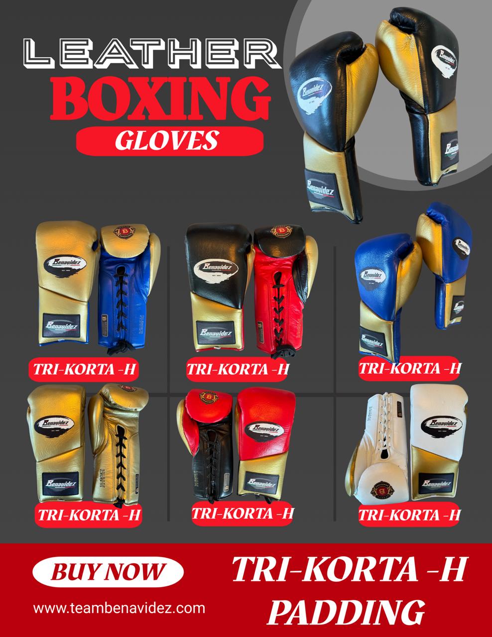 Benavidez Sports - Mark Pro Fight Tri-Korta 2H