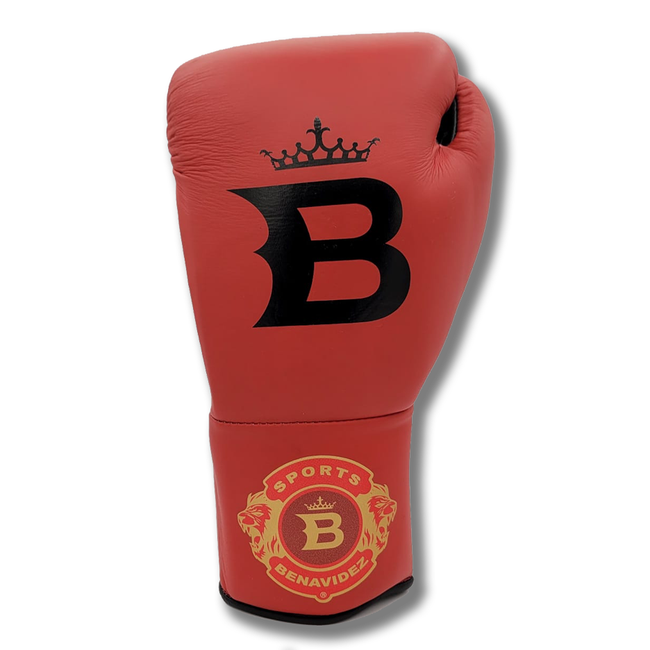 Team Benavidez Pro Fight Boxing Gloves